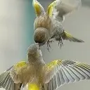 ☜︶￣❀偶看没破☞