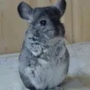 【孤...单】→哥