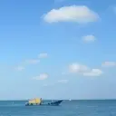 元龙在天