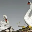 ♪♪呵*呵♪♪
