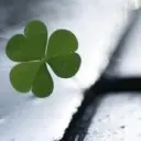☆云辰雨