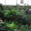 风残月孤水无痕