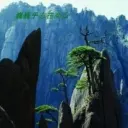 伯牙。子期